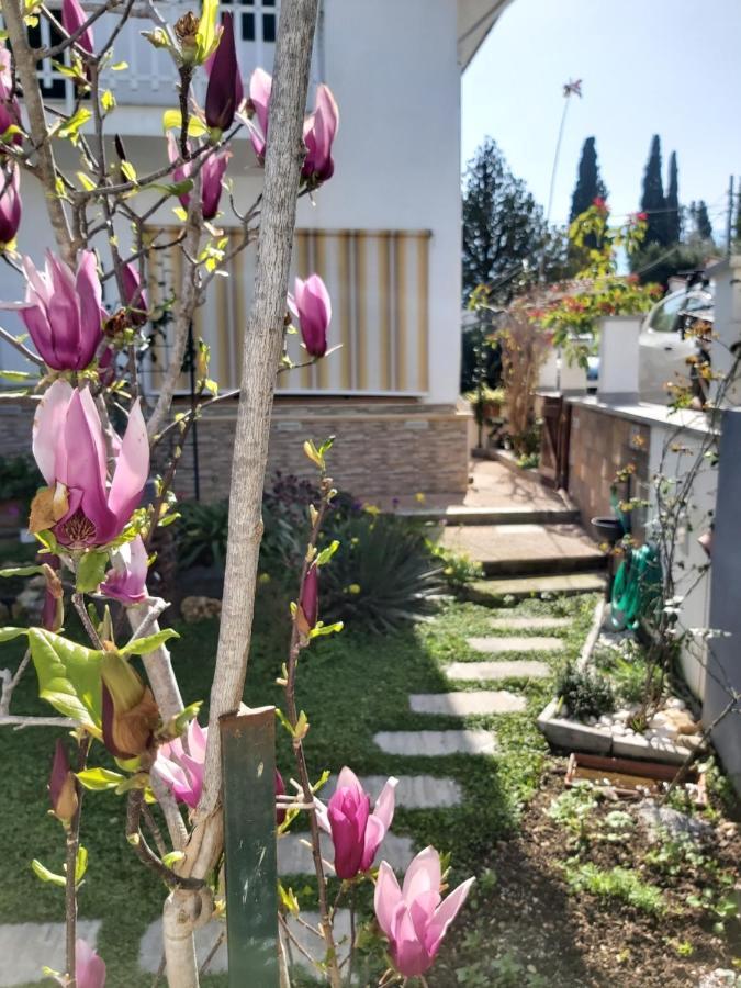 La Perla Della Conca D'Oro Villa Palermo Luaran gambar
